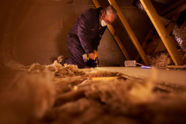 Best Insulation Contractor Near Me  in Beverly, OH